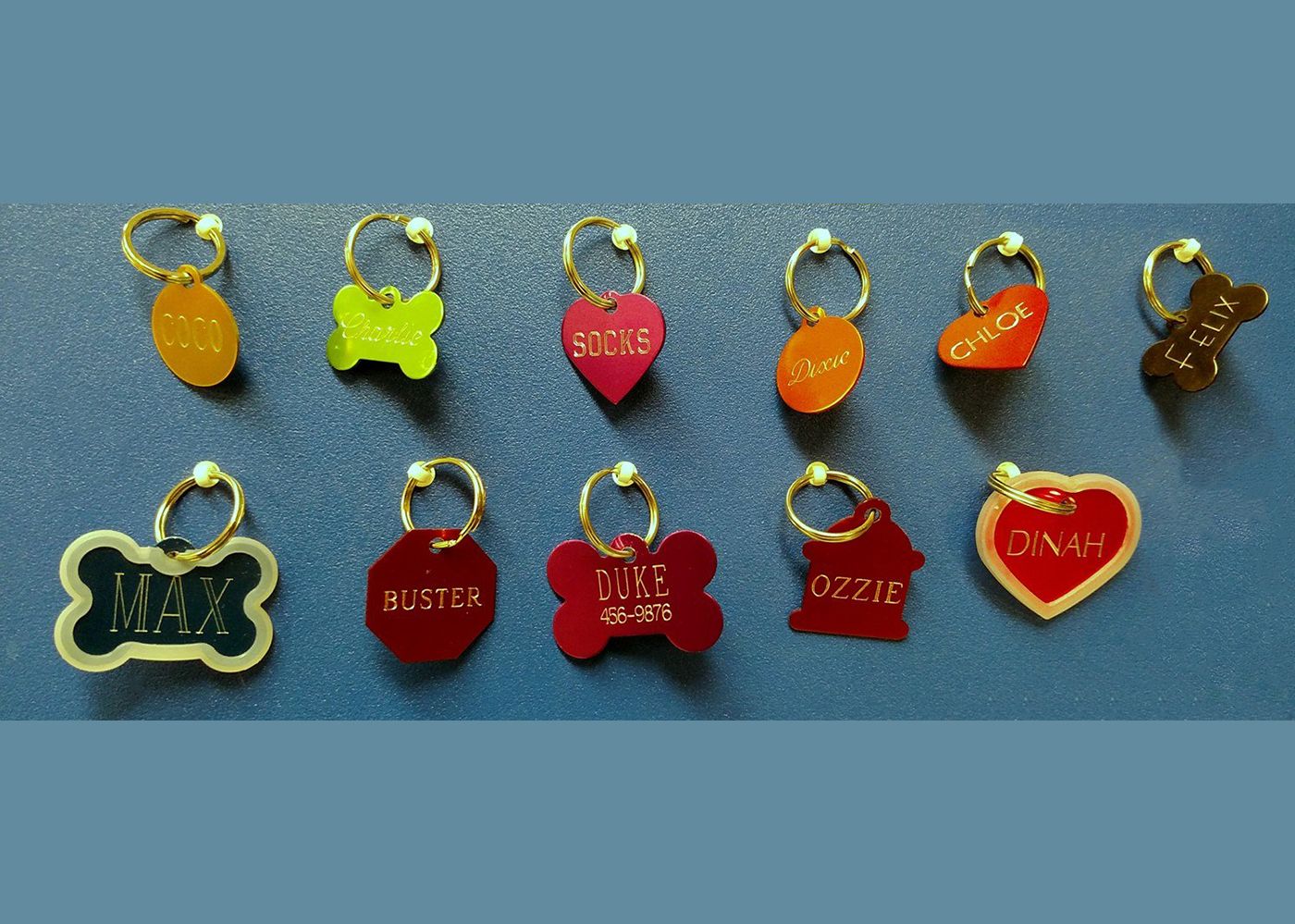 Supplies for Every Pet Pet Zone Bemidji, MN